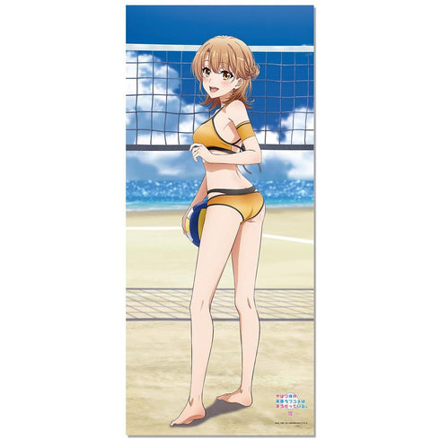 『やはり俺の青春ラブコメはまちがっている。完』【描き下ろし】BIGタペストリー いろは(ビーチバレー)【202501再販】